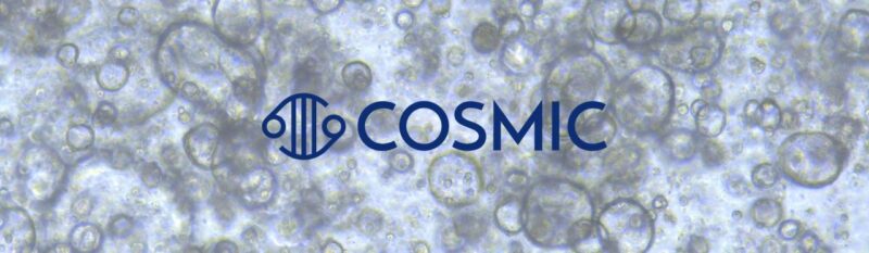 Wellcome Sanger Institute – COSMIC’s 100th version is now live