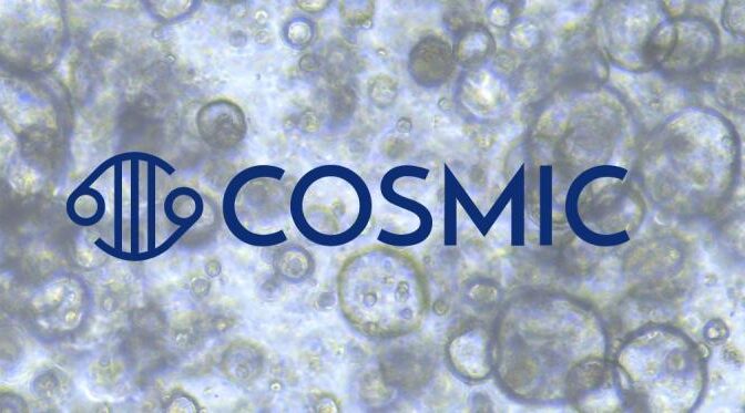 Wellcome Sanger Institute – COSMIC’s 100th version is now live