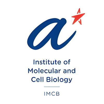 Institute of Molecular and Cell Biology part of two recently awarded NRF OF-LCG projects led by National Cancer Centre Singapore