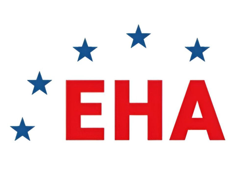 The call for European Hematology Association research training programs is now open