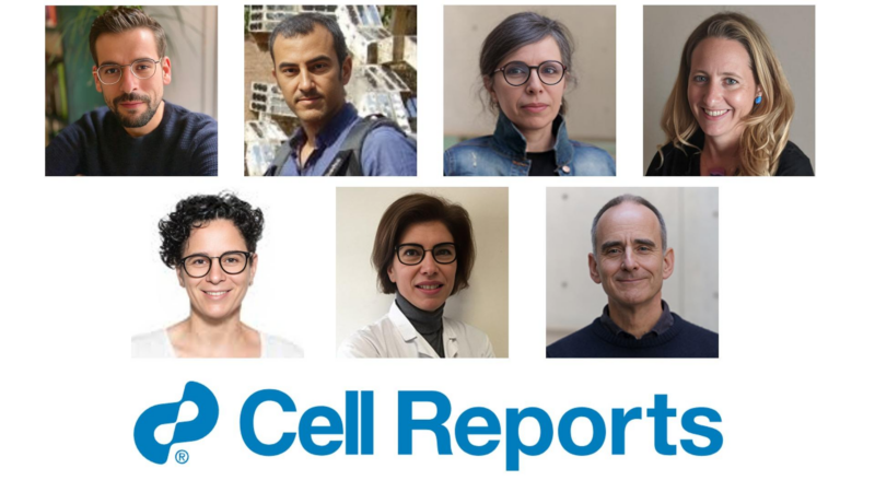 New Paper Alert! BRAF Isoforms and Resistance to MAPK Inhibitors in Melanoma