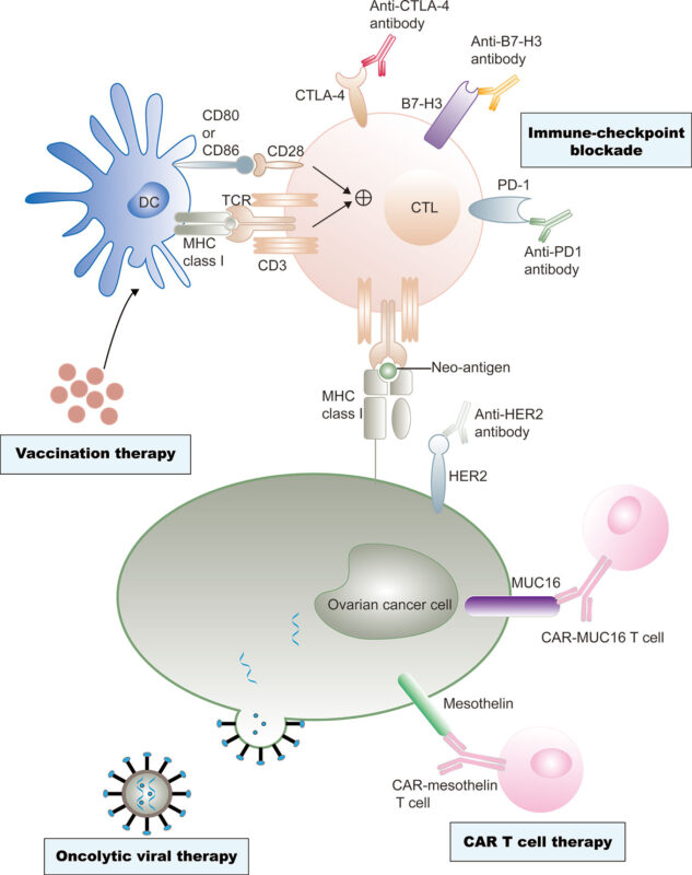 Immunotherapy for Ovarian Cancer