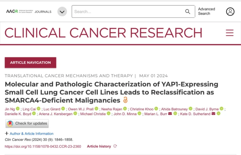 Misty Dawn Shields: Groundbreaking study challenging the dogma of ‘YAP1’ neuroendocrine subtype in SCLC