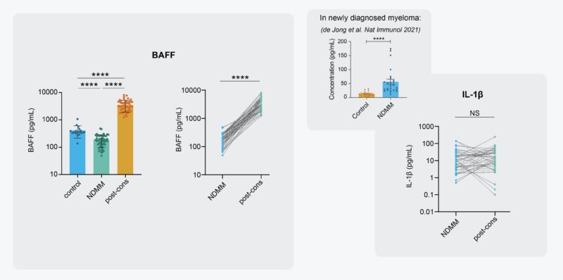 Madelon de Jong: My final PhD paper is out in Nature Immunology