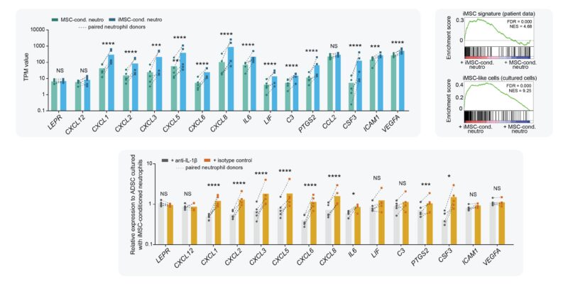 Madelon de Jong: My final PhD paper is out in Nature Immunology