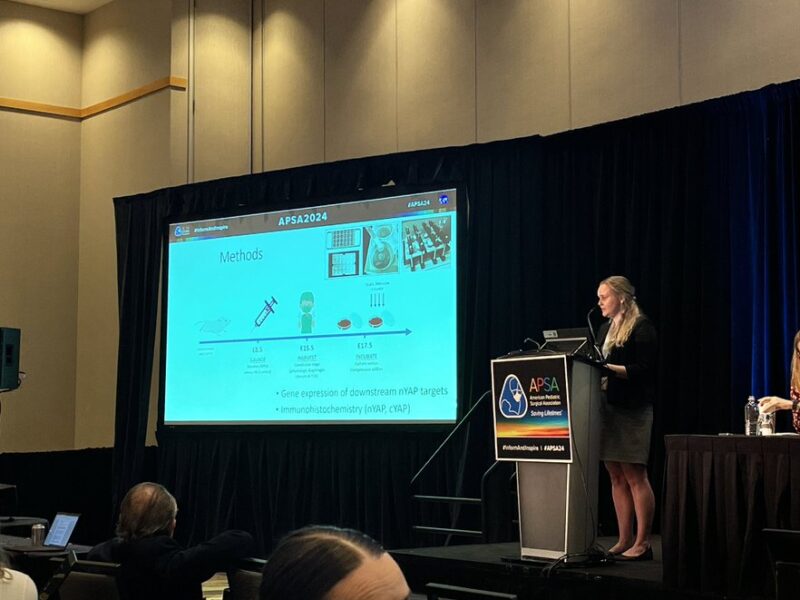 Rachael Sundland: Bringing the CDH session back to the lab bench!