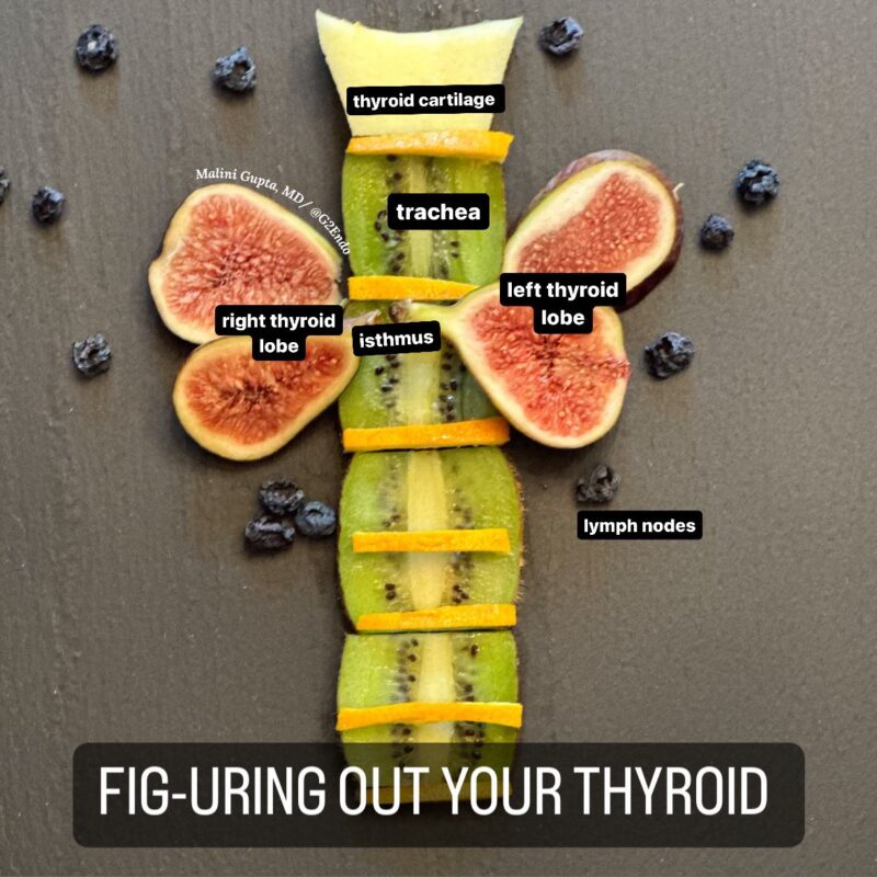 Malini Gupta: The thyroid gland gets misdiagnosed due to widespread medical misinformation