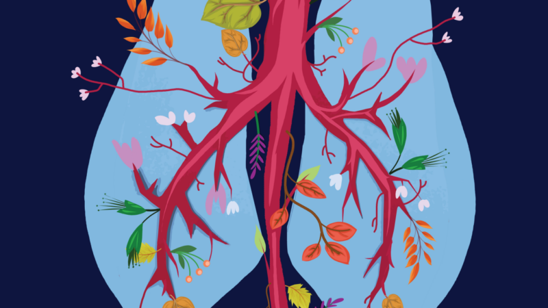 The Rising Tide: Trends and Challenges of Lung Cancer in Asia – The Lancet