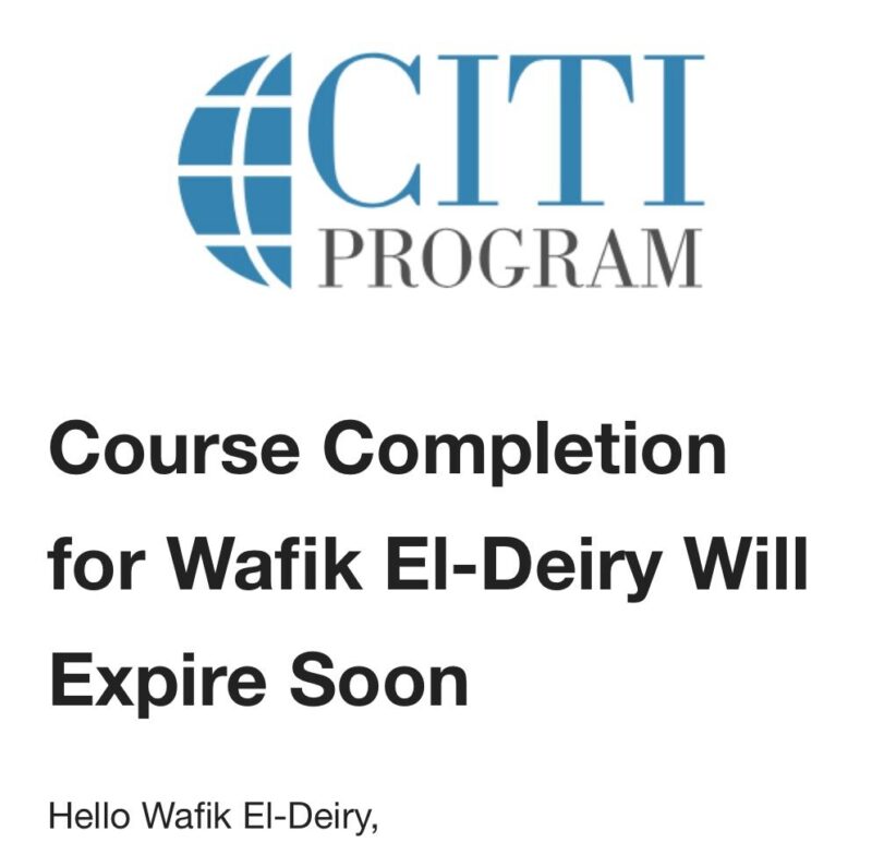 Wafik S. El-Deiry