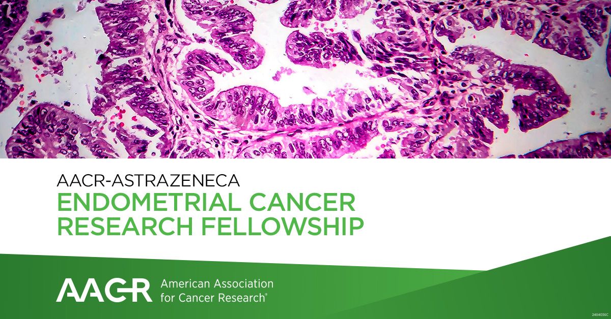 $130,000 Grant From The AACR-AstraZeneca Endometrial Cancer Research Fellowship – American Association for Cancer Research