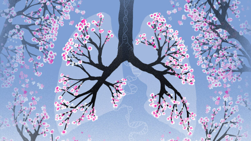 Amy C. Moore: LUNGevity Foundation International Lung Cancer Survivorship Conference