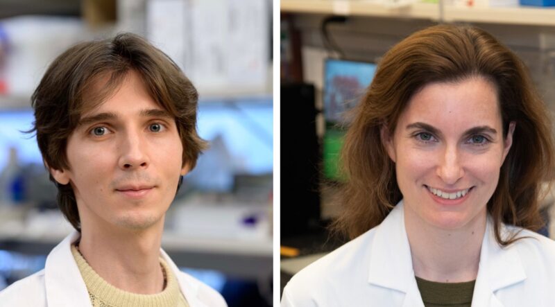 The path to leptomeningeal metastasis