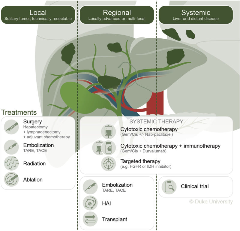 Intrahepatic cholangiocarcinoma review focused on future and current strategies for patients with malignancy - CA: A Cancer Journal for Clinicians