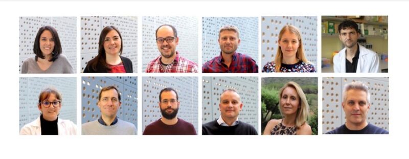 Manel Esteller: Recruitment of talented young principal Investigators that have blossomed