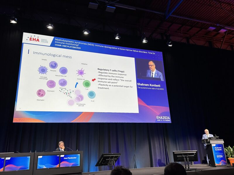 Amer Zeidan: Dr. Shahram Kordasti detailing the ‘immunologic mess’ in bone marrow failure conditions