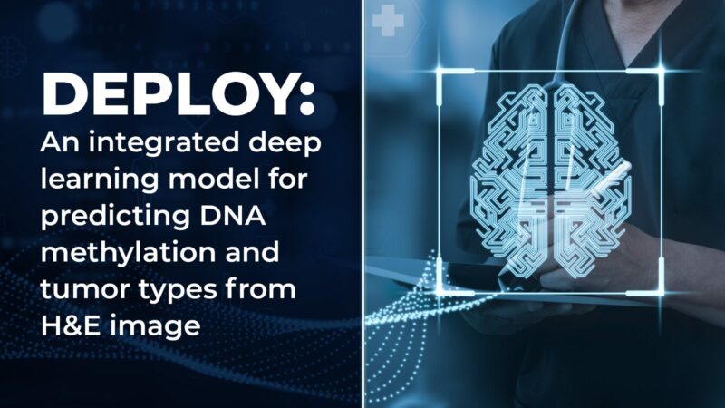 Jill Barnholtz-Sloan: New AI tool for analyzing images of Brain Tumors to predict their methylation state