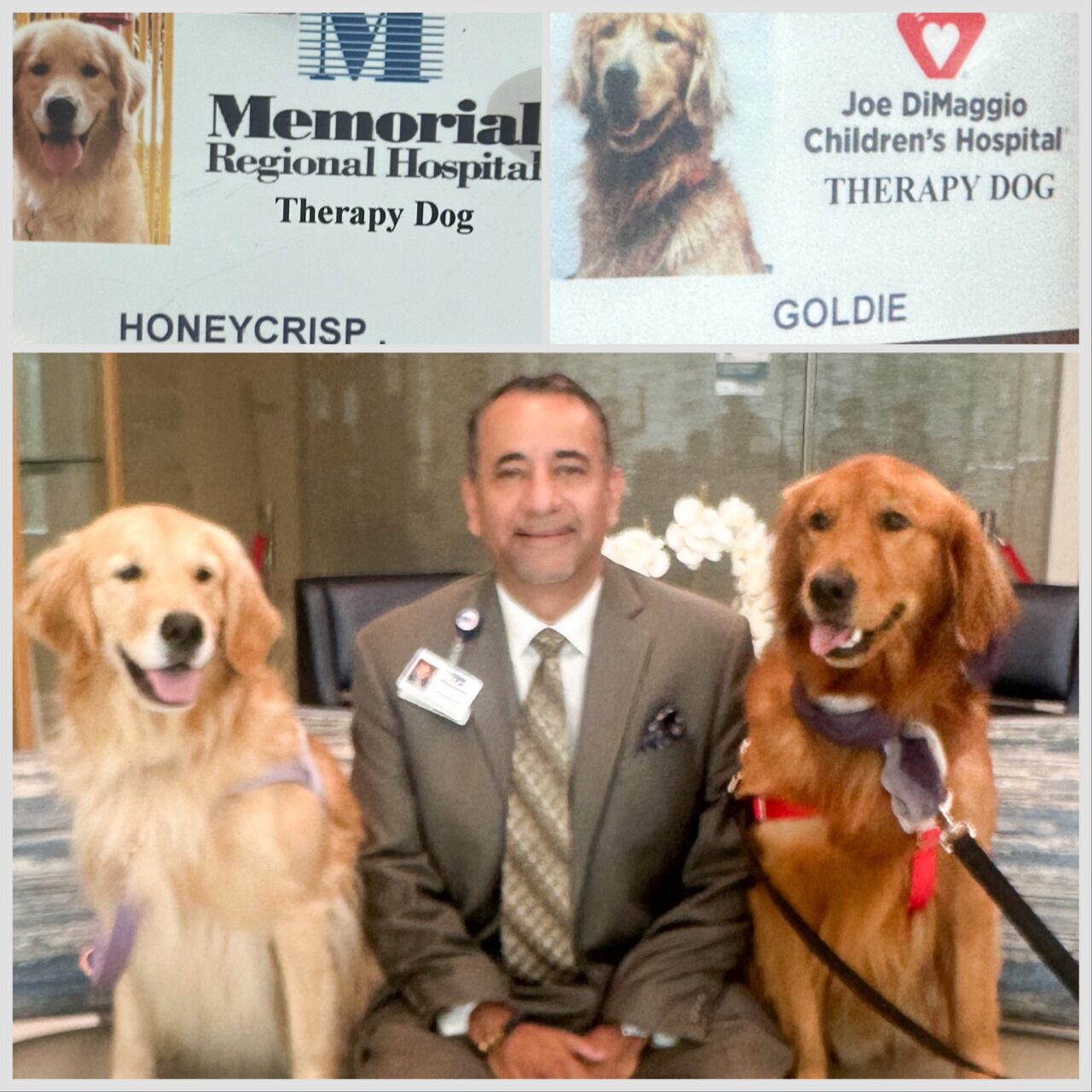 Luis E. Raez: Memorial Cancer Institute cancer center’s 15,000 human employees and 7 canine employees