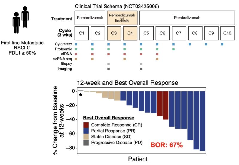 Andy Minn: Summary of our paper on combining JAK inhibitors with anti-PD1 for lung cancer