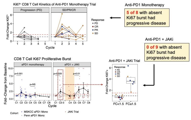 Andy Minn: Summary of our paper on combining JAK inhibitors with anti-PD1 for lung cancer