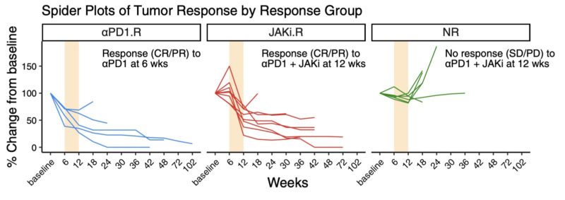 Andy Minn: Summary of our paper on combining JAK inhibitors with anti-PD1 for lung cancer