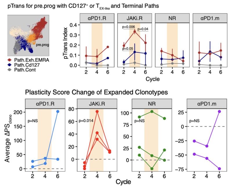 Andy Minn: Summary of our paper on combining JAK inhibitors with anti-PD1 for lung cancer