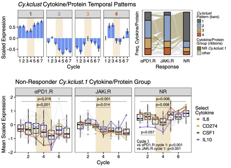 Andy Minn: Summary of our paper on combining JAK inhibitors with anti-PD1 for lung cancer