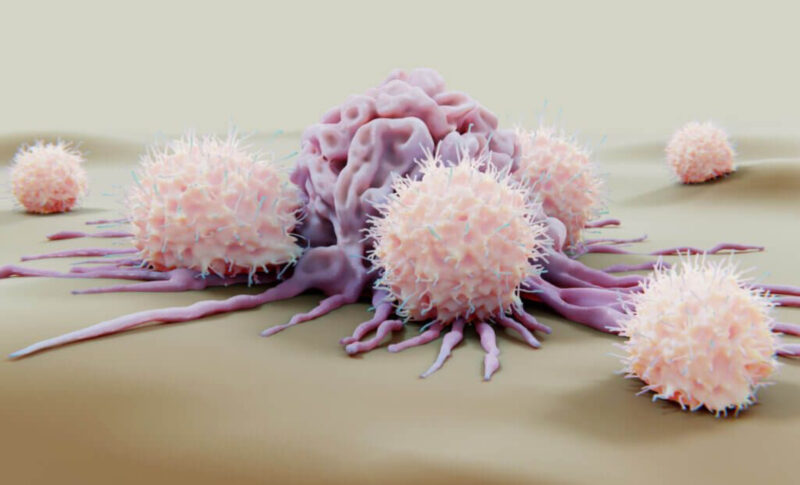 Key advances in the effort to harness NK cells at Dana-Farber Cancer Institute