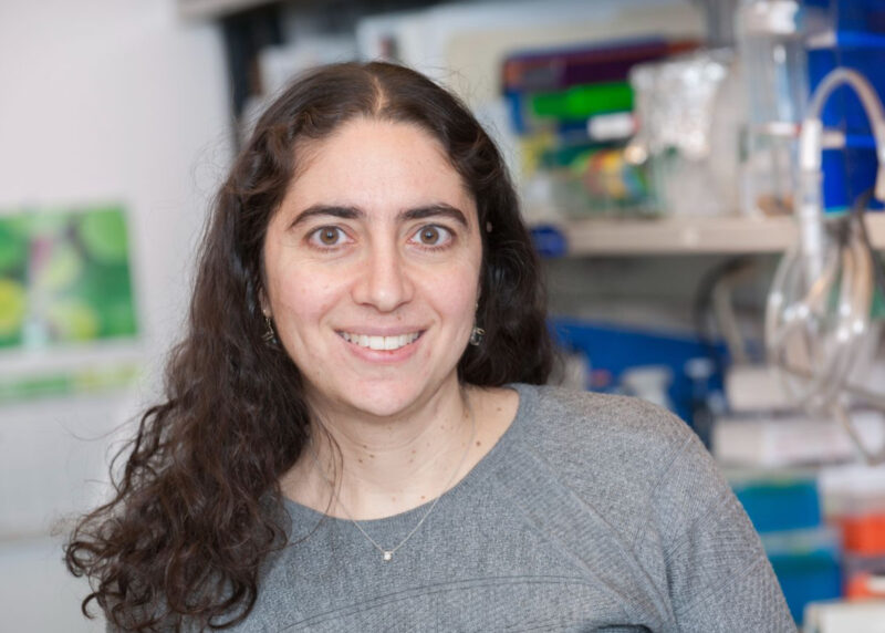 FDA approves the targeted therapy adagrasib for people with advanced colorectal cancer – MSKCC