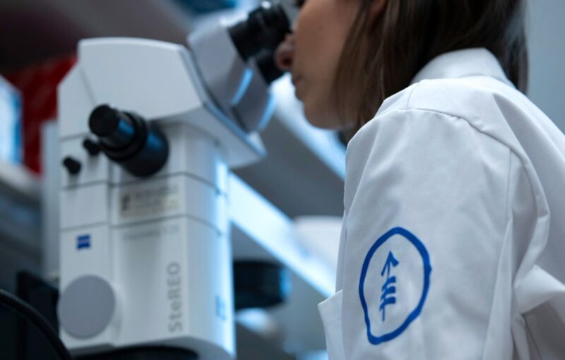 Researchers at MSK are making strides against cancer every day – Memorial Sloan Kettering Cancer Center
