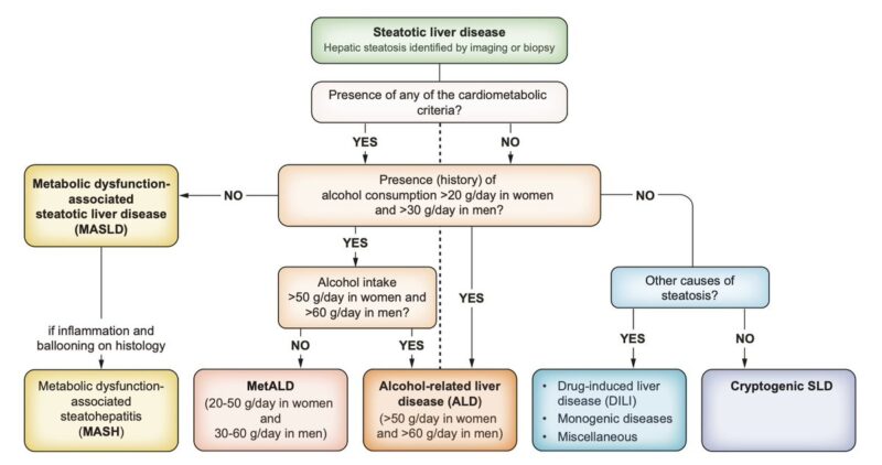 Arndt Vogel: EASL–EASD–EASO Clinical Practice Guidelines on MASLD