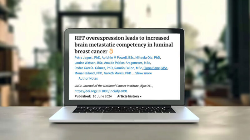 Yakup Ergün: According to Petra Jagust et al. RET is crucial in the mechanism and etiology of BC brain metastases