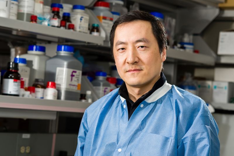 Chengkai Dai was appointed as senior investigator for the NCI Mouse Cancer Genetics Program – NCI Center for Cancer Research