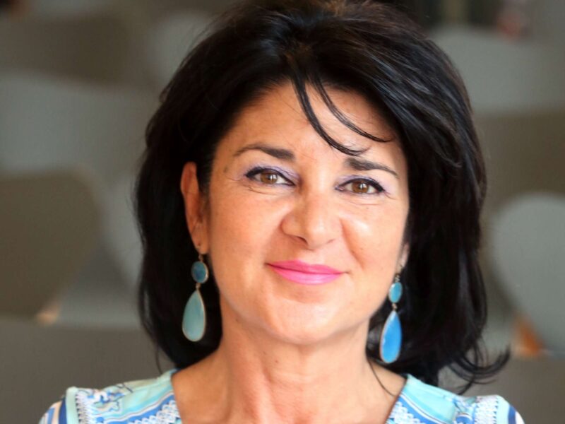 Exploring IMDC Treatment Strategies at ESMO 2024 with Professor Manuela Schmidinger – MediaMedic