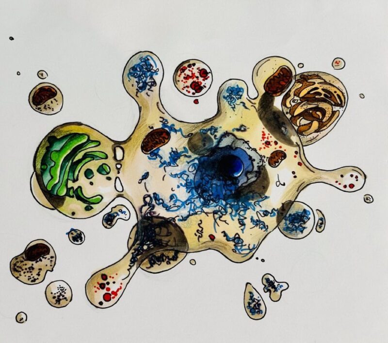 Mark Lewis: People tell me how much they enjoy posts of my daughter’s art