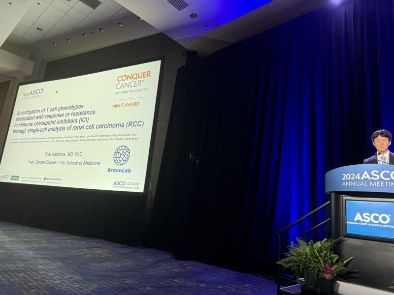 Renee Maria Saliby: Brilliant presentation and work led by Soki Kashima