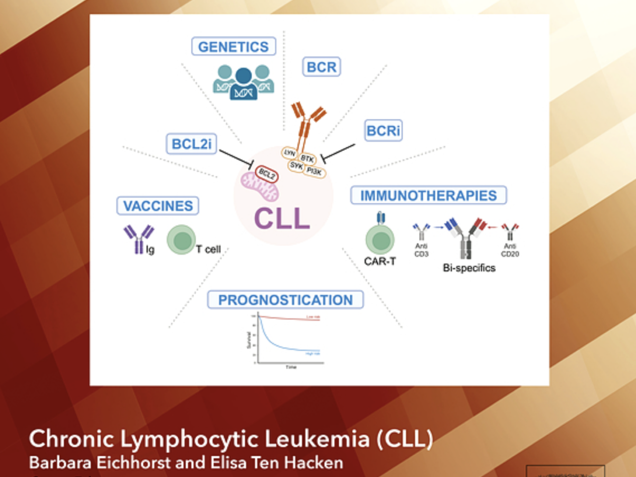 Elisa ten Hacken: Finally, the seminars in the Hematology Review Series on CLL have been published