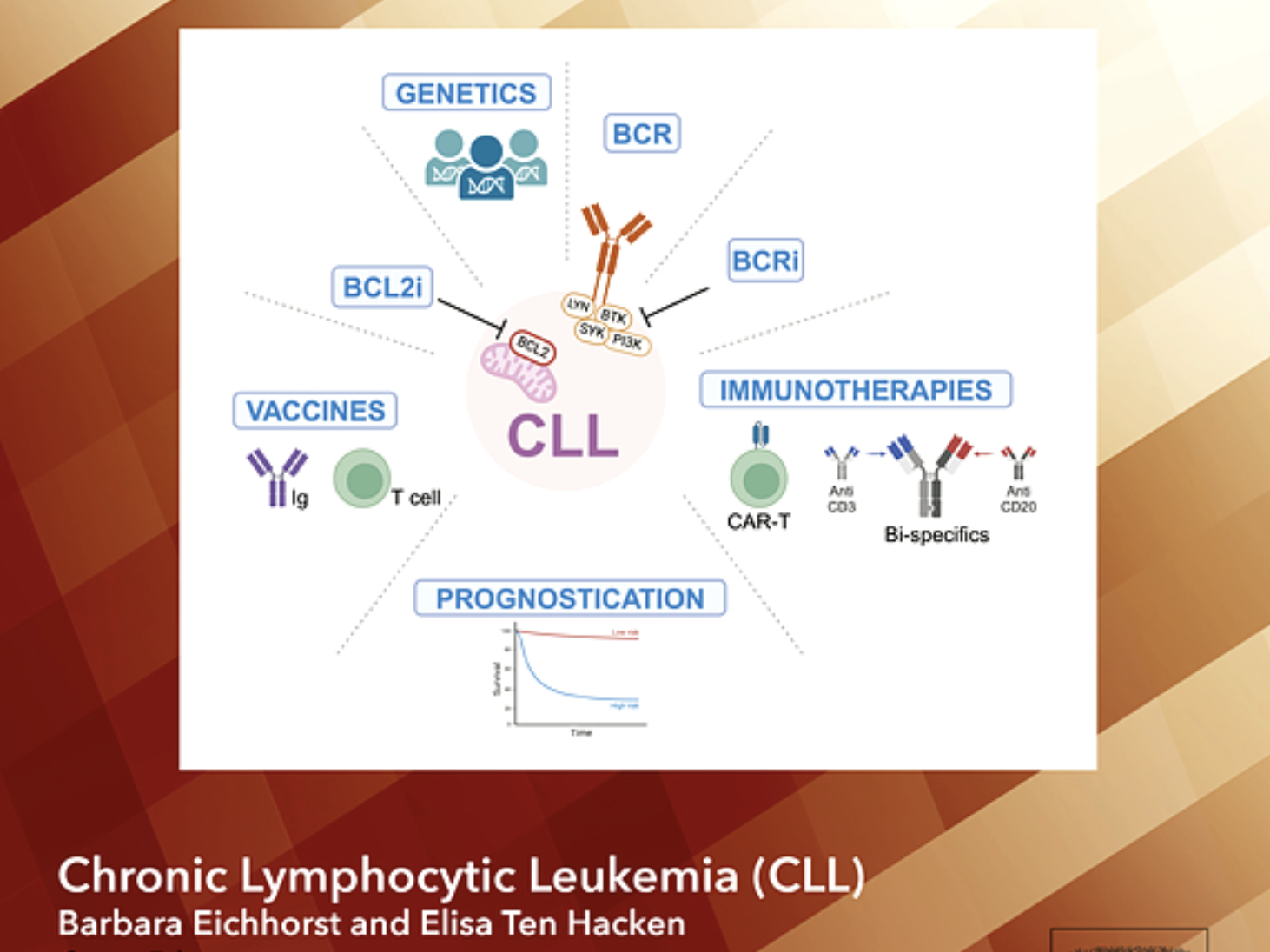 Elisa ten Hacken Finally, the seminars in the Hematology Review Series