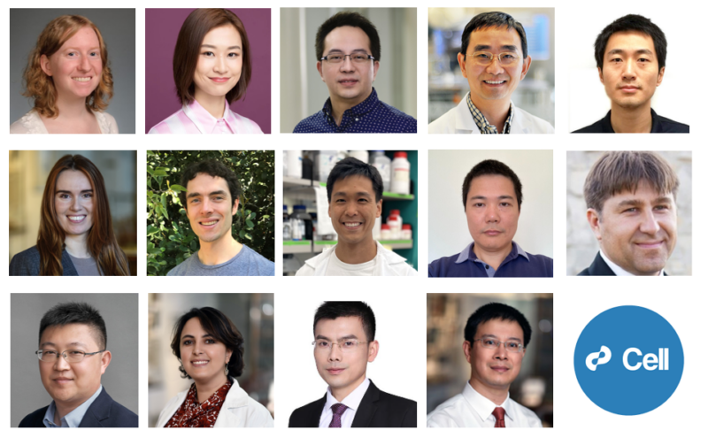 New Paper Alert! Proteogenomic Analysis Identified New Cancer Drug Targets Across 10 Cancer Types