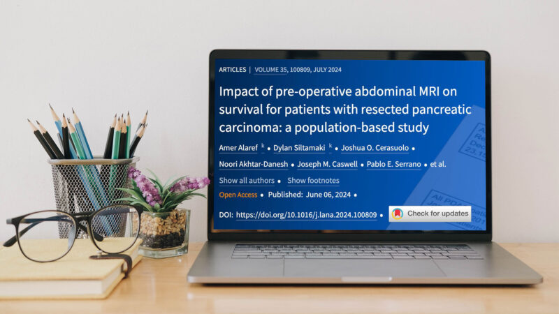 Erman Akkus on a paper by Amer Alaref et al