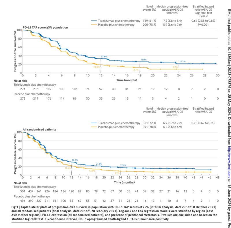 Tislelizumab plus chemotherapy in advanced gastric/GEJ adenocarcinoma