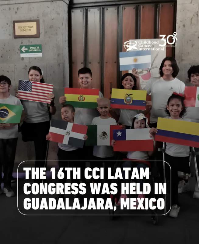 5th Alliance Meeting for a Childhood without Cancer – Childhood Cancer International