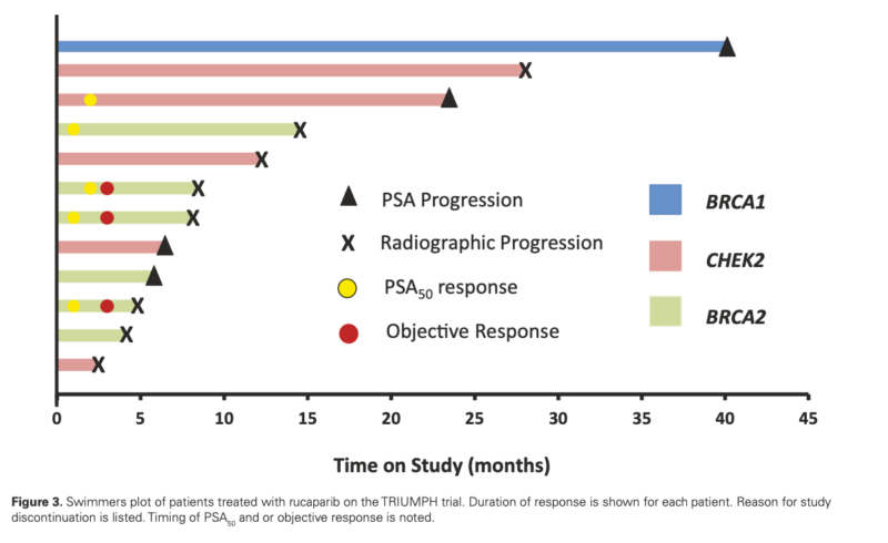 PARP Inhibitor