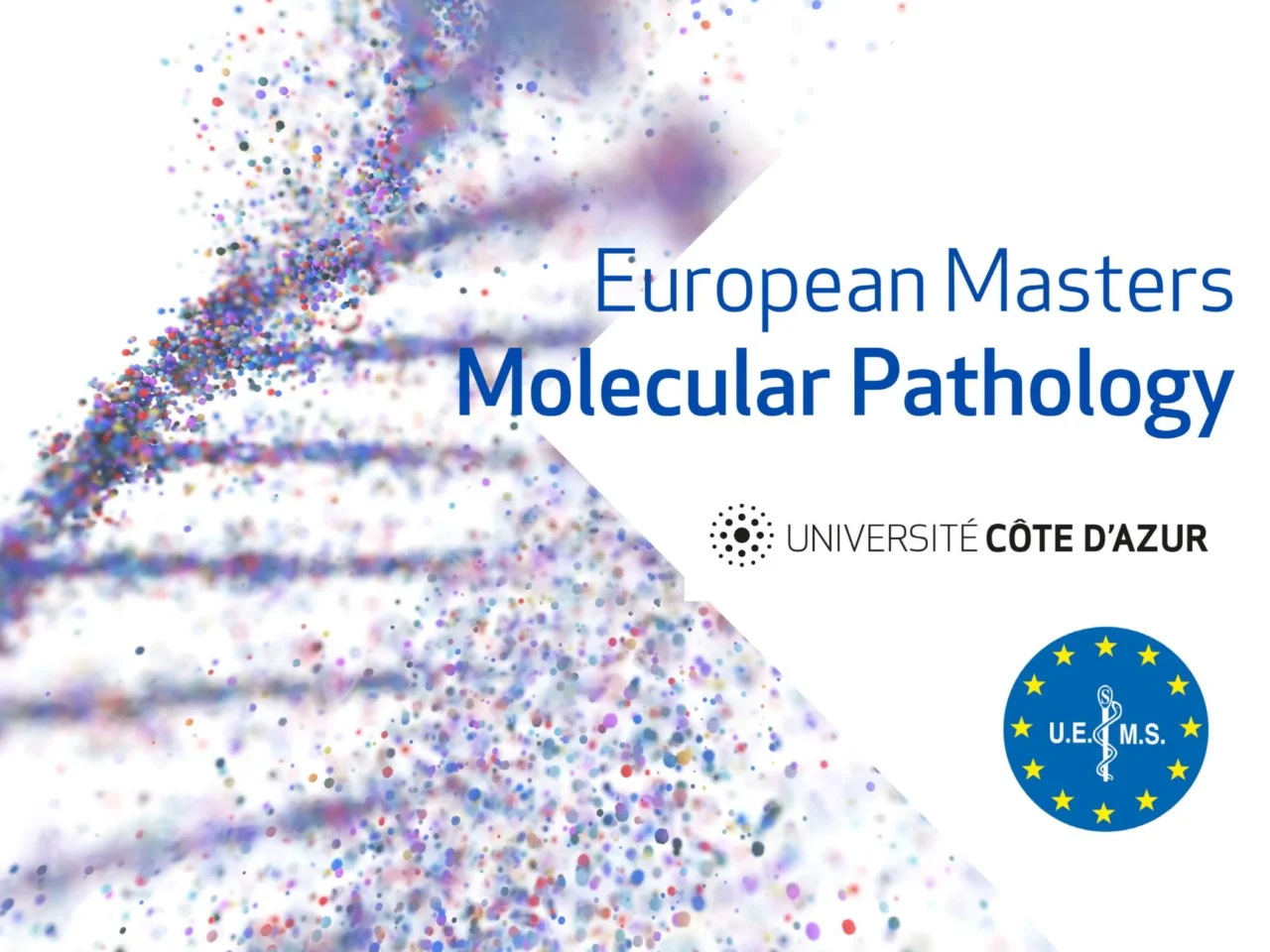 Chris Poulios: Module 6 of the European Masters Molecular Pathology is on now