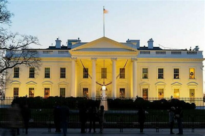 Arif Kamal: Survey for Principal Illness Navigation codes from The White House Moonshot