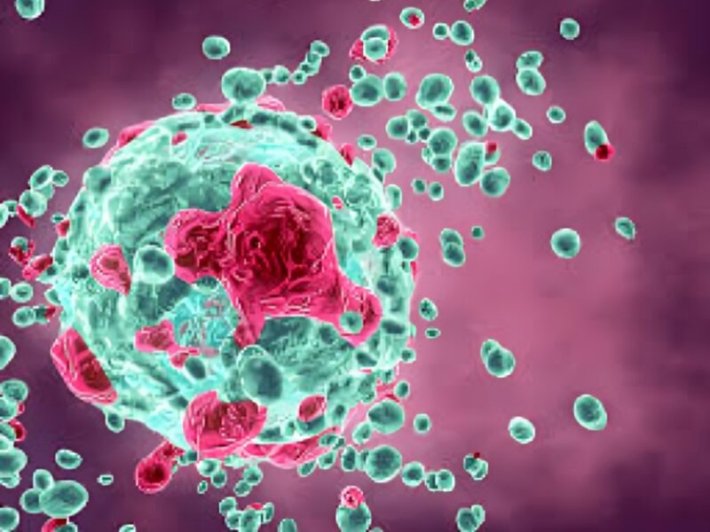 A novel MDM2/p53 inhibitor in patients with advanced solid tumors – ESMO Open