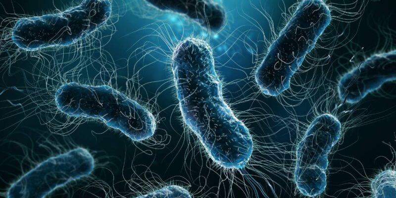 Jarushka Naidoo: Can intratumor eschericia improve OS from ICIs in NSCLC