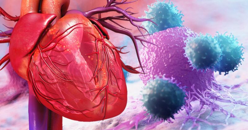 Meta analysis of Immune checkpoint inhibitor induced cardiotoxicity