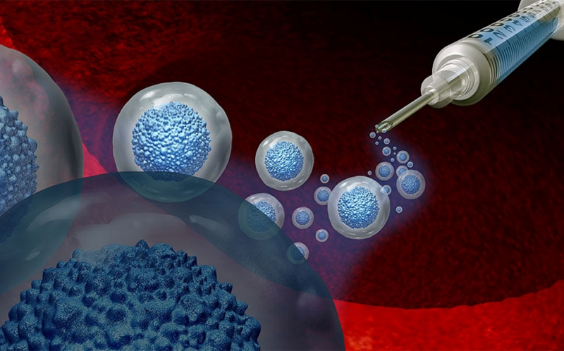 Cyclophosphamide–Based GVHD Prophylaxis Reduces Outcome Disparity in Transplants