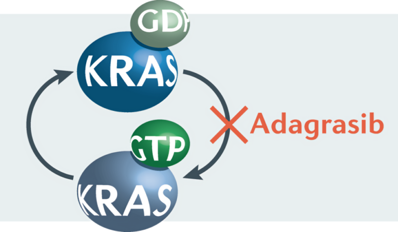 What comes after sotorasib and adagrasib?