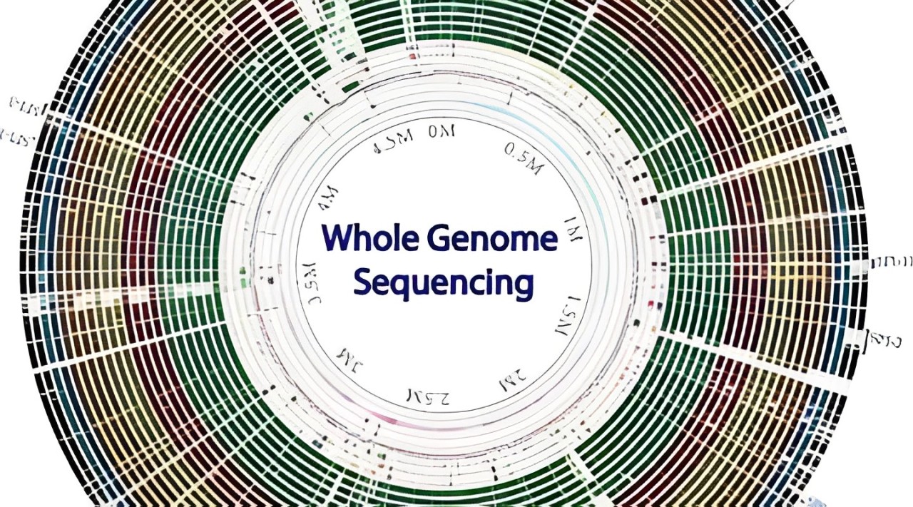 Simona Cristea: Analysis of Whole Genome Sequencing data on 10,478 cancer patients identifies 74 new drivers